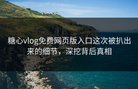 糖心vlog免费网页版入口这次被扒出来的细节，深挖背后真相
