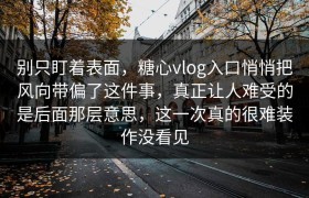 别只盯着表面，糖心vlog入口悄悄把风向带偏了这件事，真正让人难受的是后面那层意思，这一次真的很难装作没看见