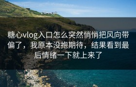 糖心vlog入口怎么突然悄悄把风向带偏了，我原本没抱期待，结果看到最后情绪一下就上来了