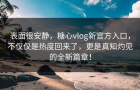 表面很安静，糖心vlog新官方入口，不仅仅是热度回来了，更是真知灼见的全新篇章！