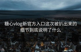 糖心vlog新官方入口这次被扒出来的细节到底说明了什么