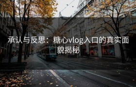 承认与反思：糖心vlog入口的真实面貌揭秘