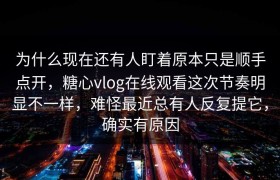 为什么现在还有人盯着原本只是顺手点开，糖心vlog在线观看这次节奏明显不一样，难怪最近总有人反复提它，确实有原因