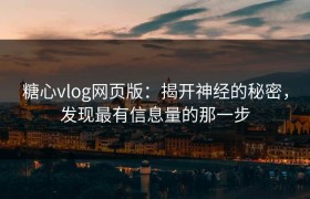 糖心vlog网页版：揭开神经的秘密，发现最有信息量的那一步