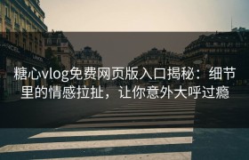 糖心vlog免费网页版入口揭秘：细节里的情感拉扯，让你意外大呼过瘾