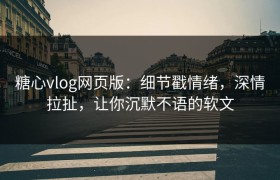 糖心vlog网页版：细节戳情绪，深情拉扯，让你沉默不语的软文