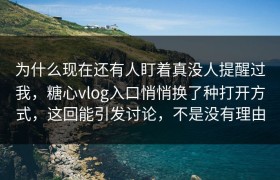 为什么现在还有人盯着真没人提醒过我，糖心vlog入口悄悄换了种打开方式，这回能引发讨论，不是没有理由