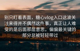 别只盯着表面，糖心vlog入口这波关注来得并不偶然这件事，真正让人难受的是后面那层意思，偏偏最关键的部分总被轻轻带过