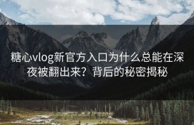 糖心vlog新官方入口为什么总能在深夜被翻出来？背后的秘密揭秘