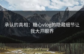 承认的真相：糖心vlog的隐藏细节让我大开眼界