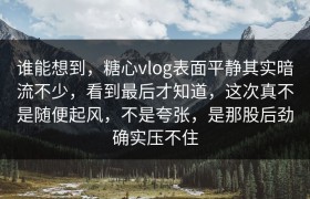 谁能想到，糖心vlog表面平静其实暗流不少，看到最后才知道，这次真不是随便起风，不是夸张，是那股后劲确实压不住