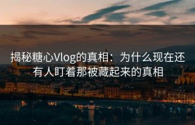 揭秘糖心Vlog的真相：为什么现在还有人盯着那被藏起来的真相