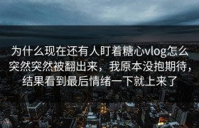 为什么现在还有人盯着糖心vlog怎么突然突然被翻出来，我原本没抱期待，结果看到最后情绪一下就上来了