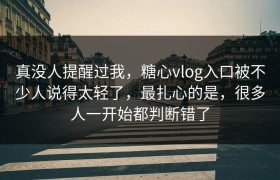 真没人提醒过我，糖心vlog入口被不少人说得太轻了，最扎心的是，很多人一开始都判断错了