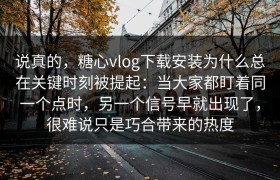 说真的，糖心vlog下载安装为什么总在关键时刻被提起：当大家都盯着同一个点时，另一个信号早就出现了，很难说只是巧合带来的热度