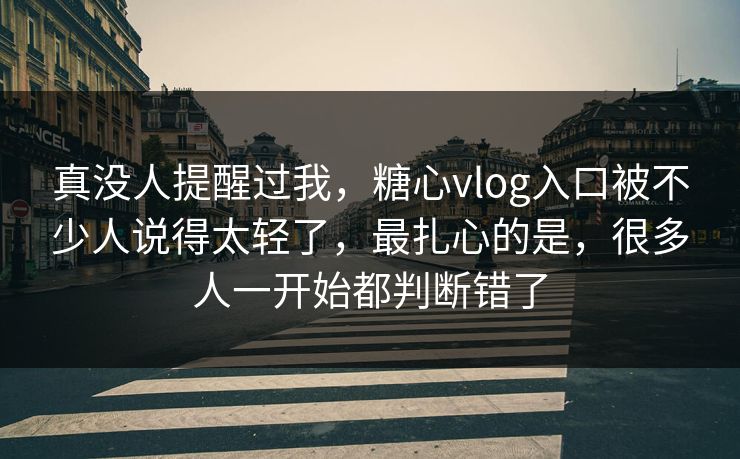 真没人提醒过我，糖心vlog入口被不少人说得太轻了，最扎心的是，很多人一开始都判断错了