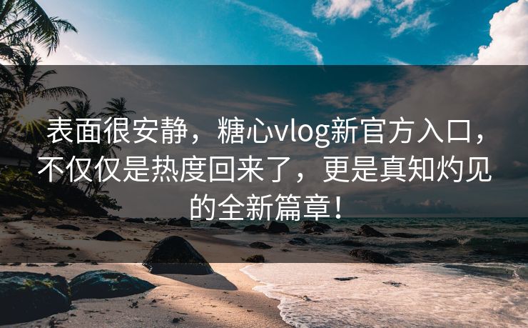 表面很安静，糖心vlog新官方入口，不仅仅是热度回来了，更是真知灼见的全新篇章！