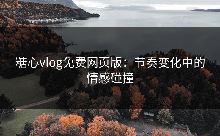 糖心vlog免费网页版：节奏变化中的情感碰撞