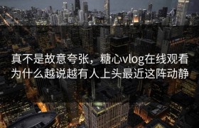 真不是故意夸张，糖心vlog在线观看为什么越说越有人上头最近这阵动静