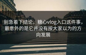别急着下结论，糖心vlog入口这件事，最意外的是它并没有按大家以为的方向发展