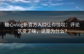 糖心vlog新官方入口让你惊叹：评论区变了味，这是为什么？