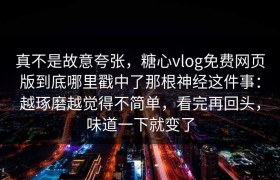 真不是故意夸张，糖心vlog免费网页版到底哪里戳中了那根神经这件事：越琢磨越觉得不简单，看完再回头，味道一下就变了