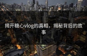 揭开糖心vlog的真相，揭秘背后的故事