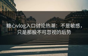 糖心vlog入口讨论热潮：不是敏感，只是那股不可忽视的后势