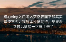 糖心vlog入口怎么突然表面平静其实暗流不少，我原本没抱期待，结果看到最后情绪一下就上来了