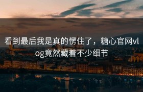 看到最后我是真的愣住了，糖心官网vlog竟然藏着不少细节